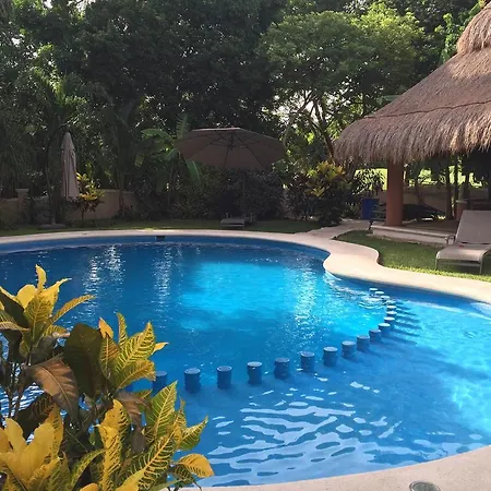 Casa Camelia Bed and Breakfast